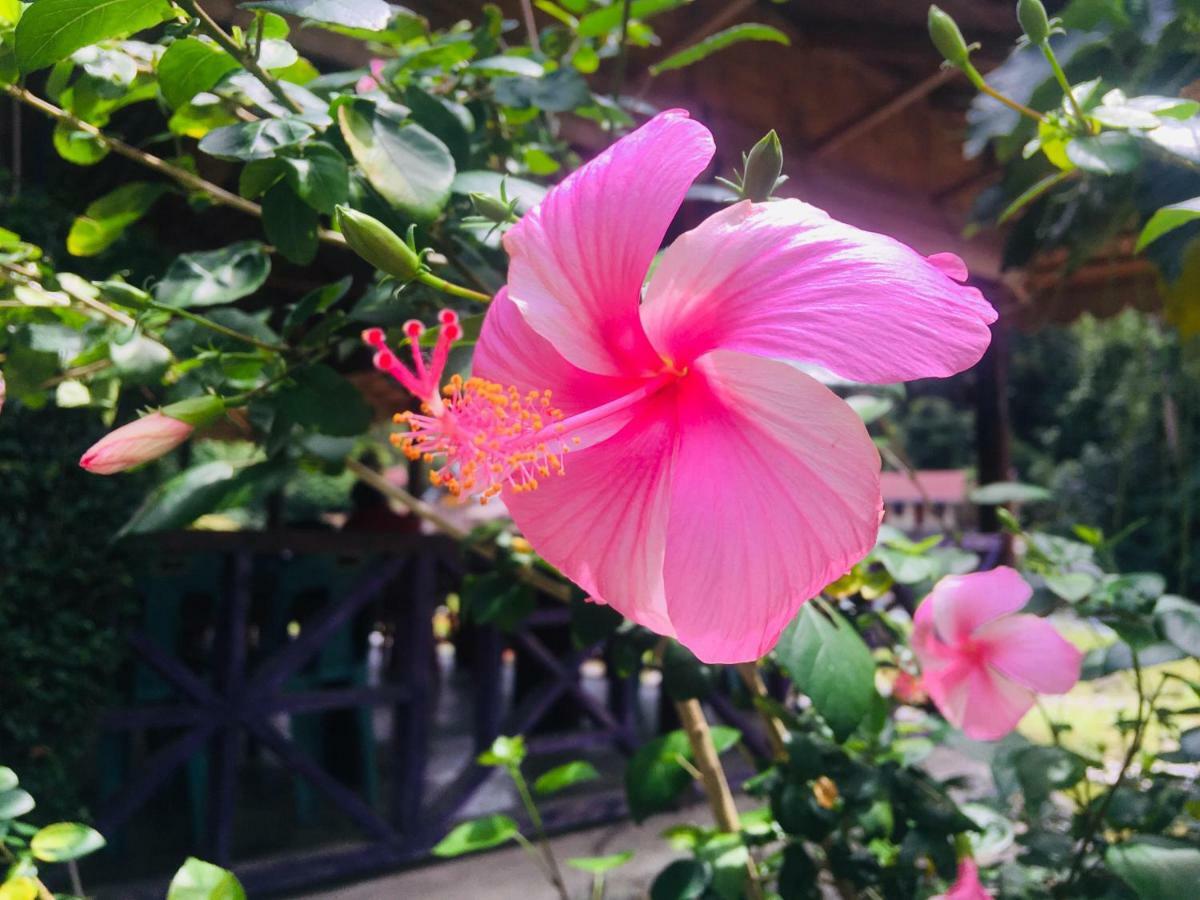 Sahnan Guest House 부킷 라왕 외부 사진